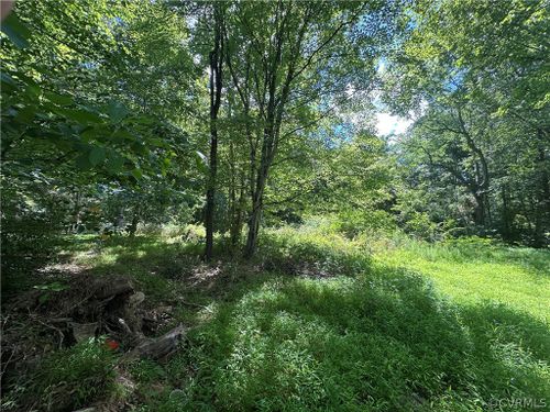 0 Craig Creek Rd, Eagle Rock, VA, 24085 | Card Image