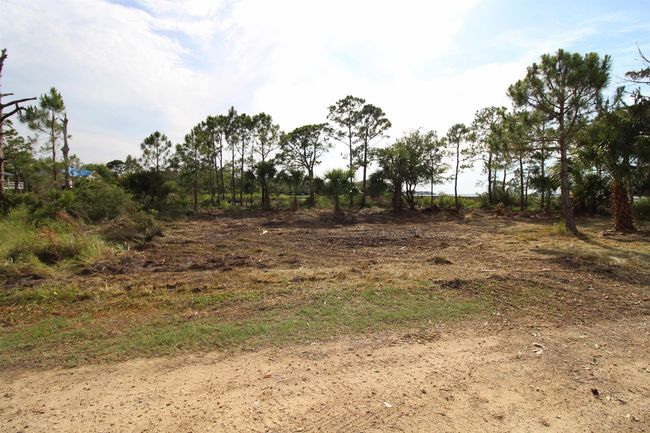 20 George Vause Rd, Home with 0 bedrooms, 0 bathrooms and null parking in Alligator Point FL | Image 4