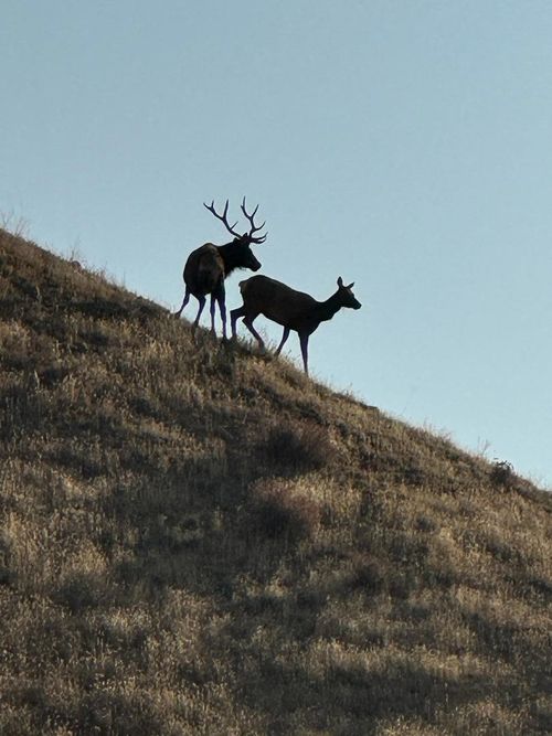 19825 New Idria Rd, Paicines, CA, 95043-9708 | Card Image