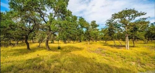 LOT 3 Scott Branch, Harper, TX, 78631 | Card Image