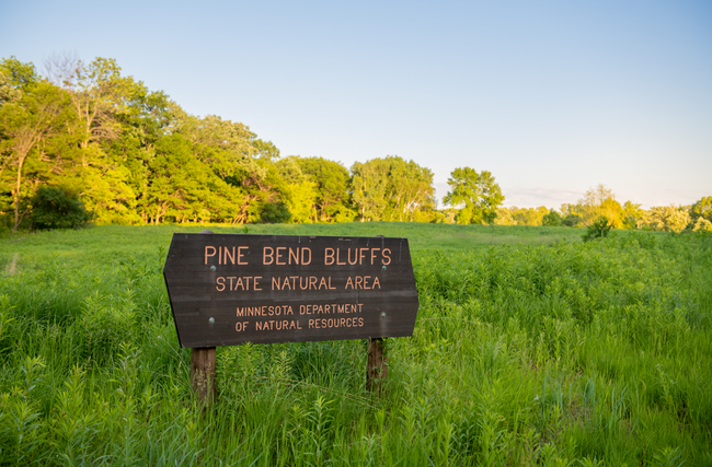 There are over 20 parks in Rosemount. With play areas for the kids, natural hiking trails, horse trails and miles of mountain bike trails. | Image 21
