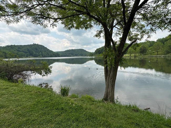 14224 Mud Fork Road, Home with 0 bedrooms, 0 bathrooms and null parking in Falls Mills VA | Image 10