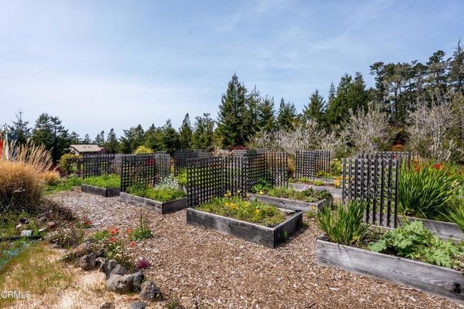 Veggie Garden | Image 66