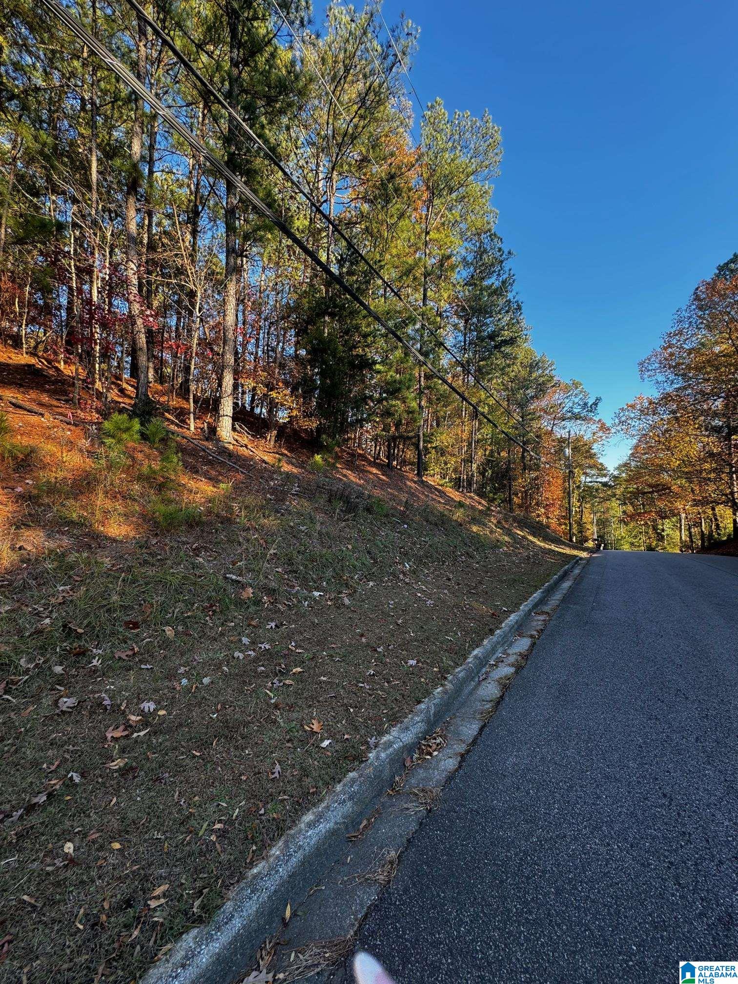 Land in VESTAVIA HILLS 5