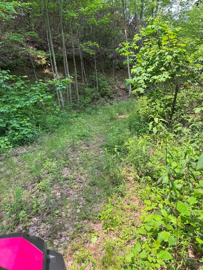 88 acres Bolden Branch Rd, Home with 0 bedrooms, 0 bathrooms and null parking in Andrews NC | Image 18