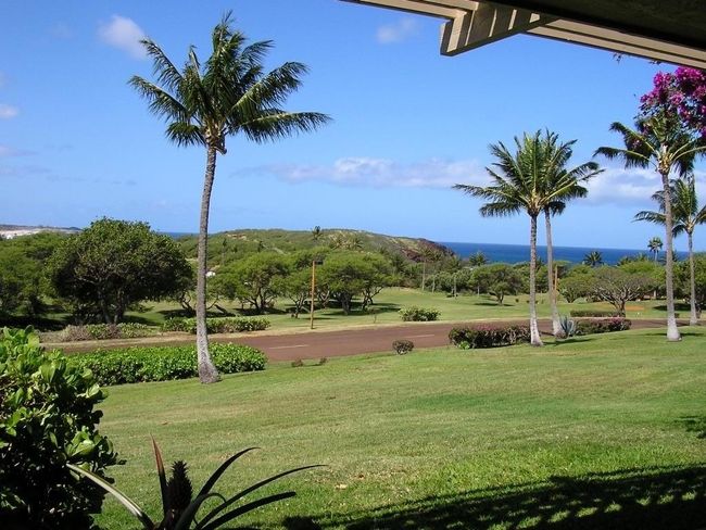 116 - 50 Kepuhi Pl, Condo with 1 bedrooms, 1 bathrooms and null parking in Maunaloa HI | Image 17