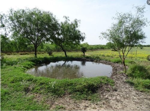 FM 2294 Fm 2294, San Isidro, TX, 78588 | Card Image
