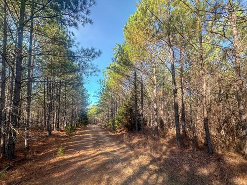 0 Indian Creek Rd, Hohenwald, TN, 38462 | Card Image