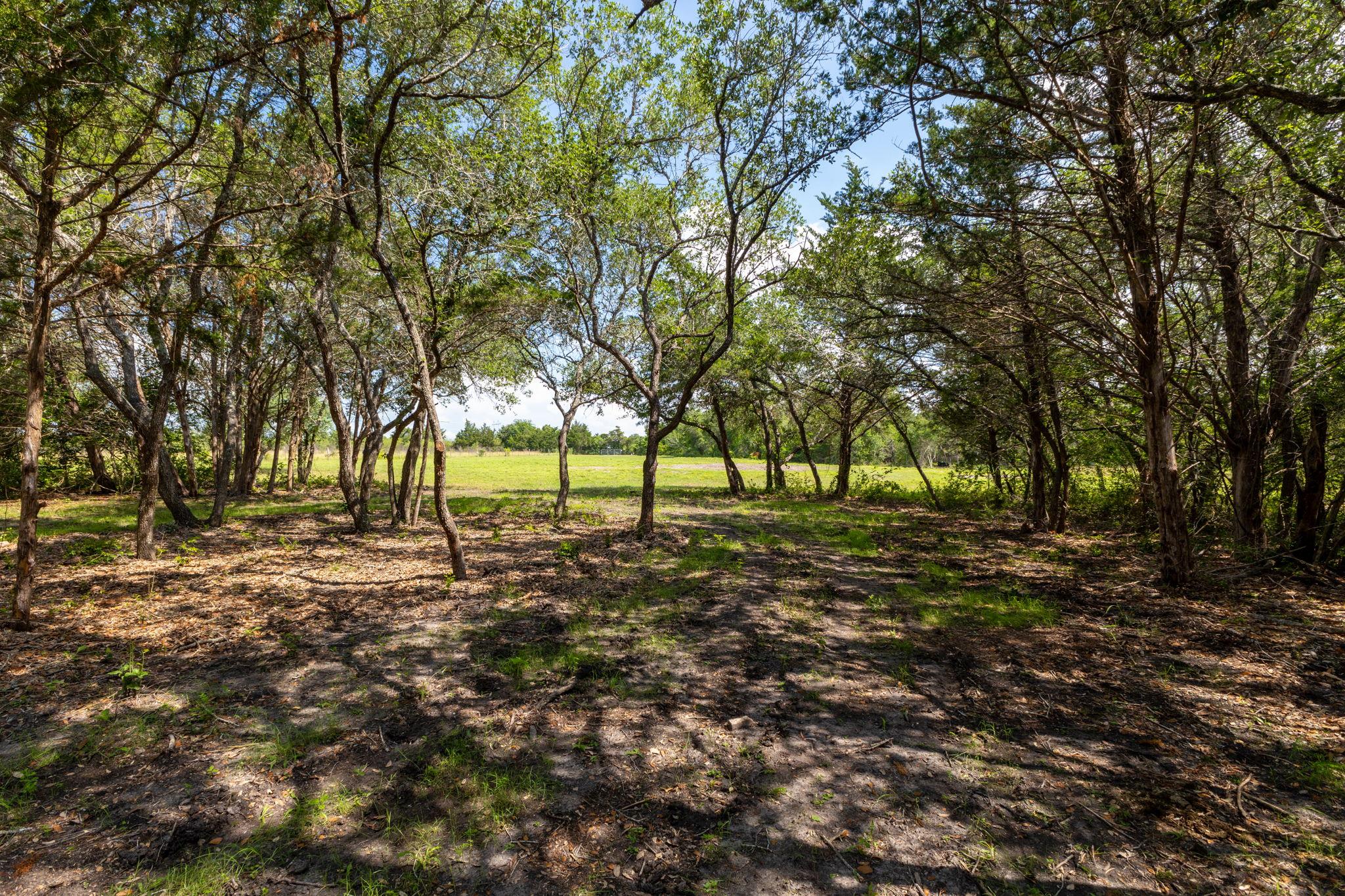 Land in Flatonia 4