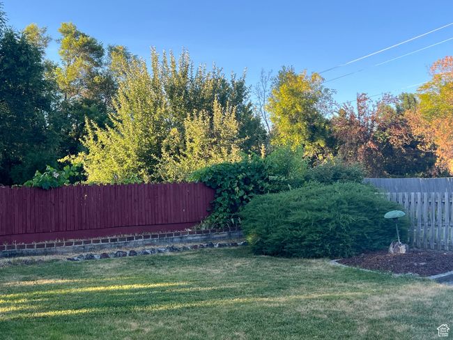 View of fenced backyard | Image 9