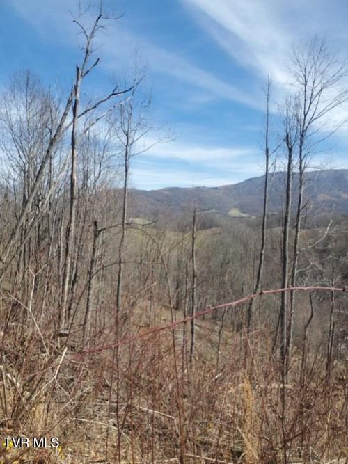 Tbd Miller Ln, Trade, TN, 37691 | Card Image