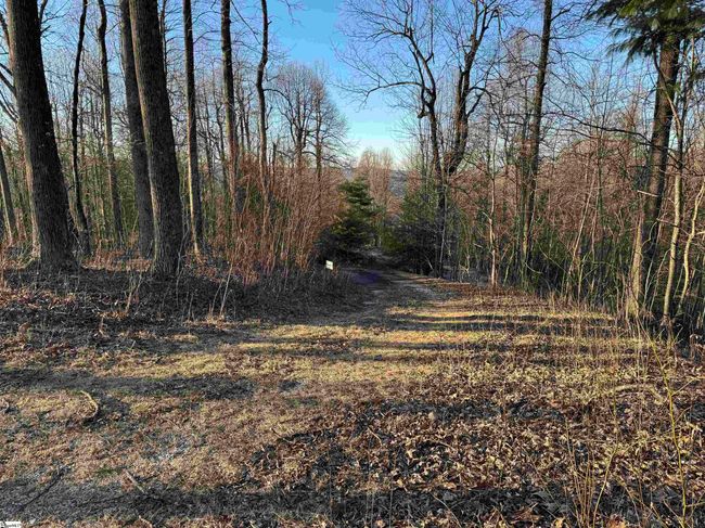 278 Bella Vista Ct, Home with 0 bedrooms, 0 bathrooms and null parking in Zirconia NC | Image 7