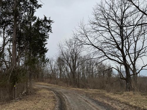 00 Scott Hill Rd, West Finley, PA, 15377 | Card Image