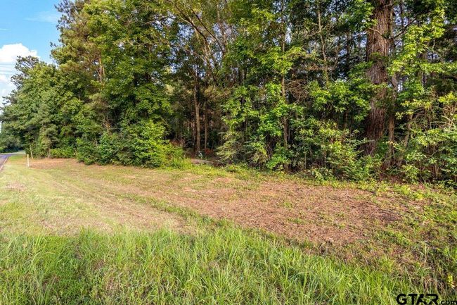 TBD 17.57 ACRES Fm 2274, Home with 1 bedrooms, 1 bathrooms and null parking in Troup TX | Image 11