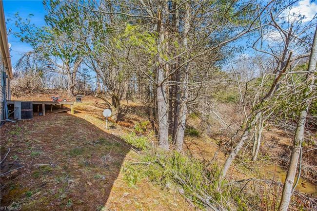 Creek at the bottom of the hill | Image 11