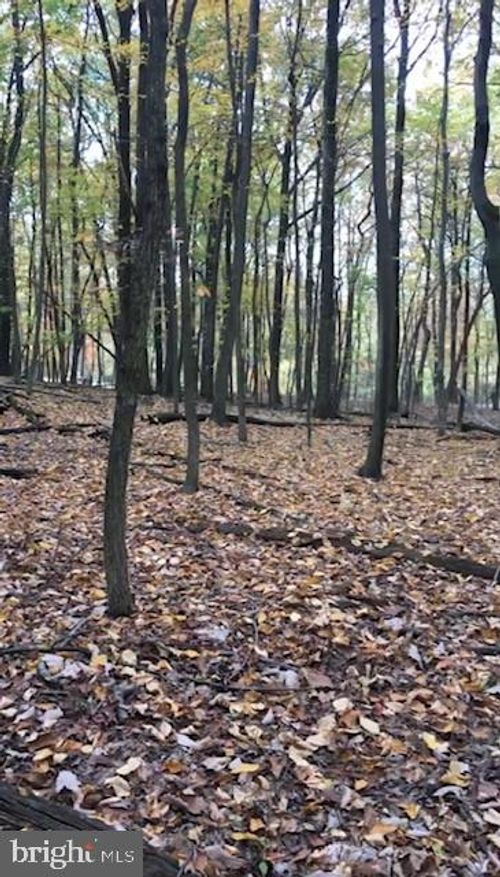 1490 Tower Rd, York, PA, 17406-8777 | Card Image