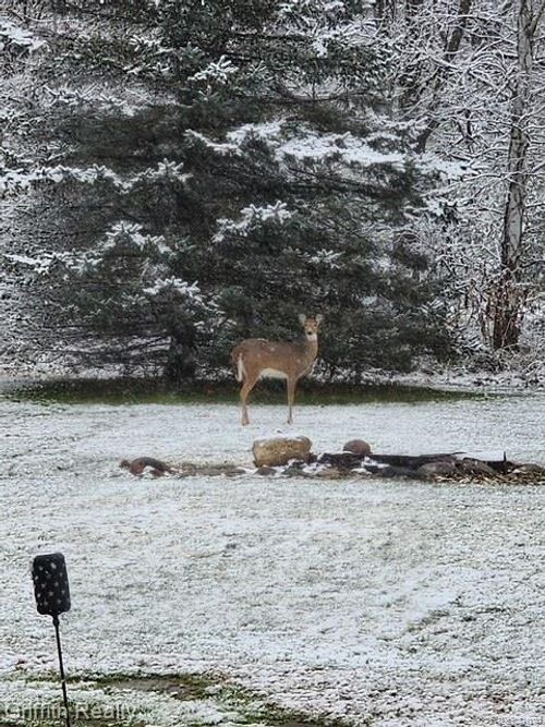 3148 Hogback Rd, Fowlerville, MI, 48836-8542 | Card Image