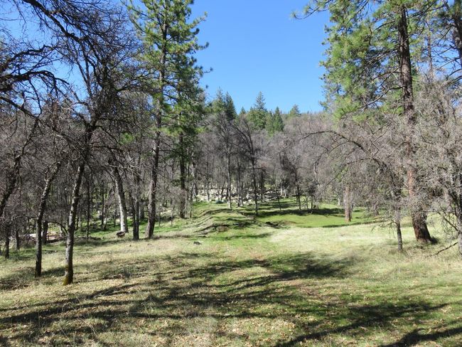 4196 Bald Mountain Rd, Home with 0 bedrooms, 0 bathrooms and null parking in West Point CA | Image 44