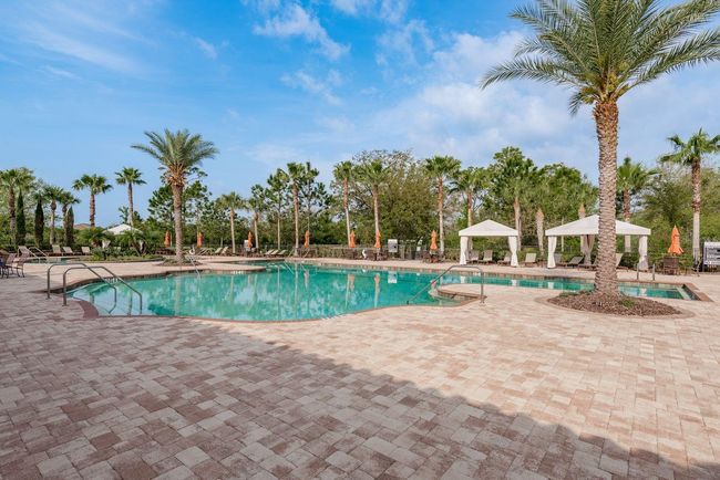 11551 Callisia Dr, House other with 2 bedrooms, 2 bathrooms and null parking in Odessa FL | Image 49