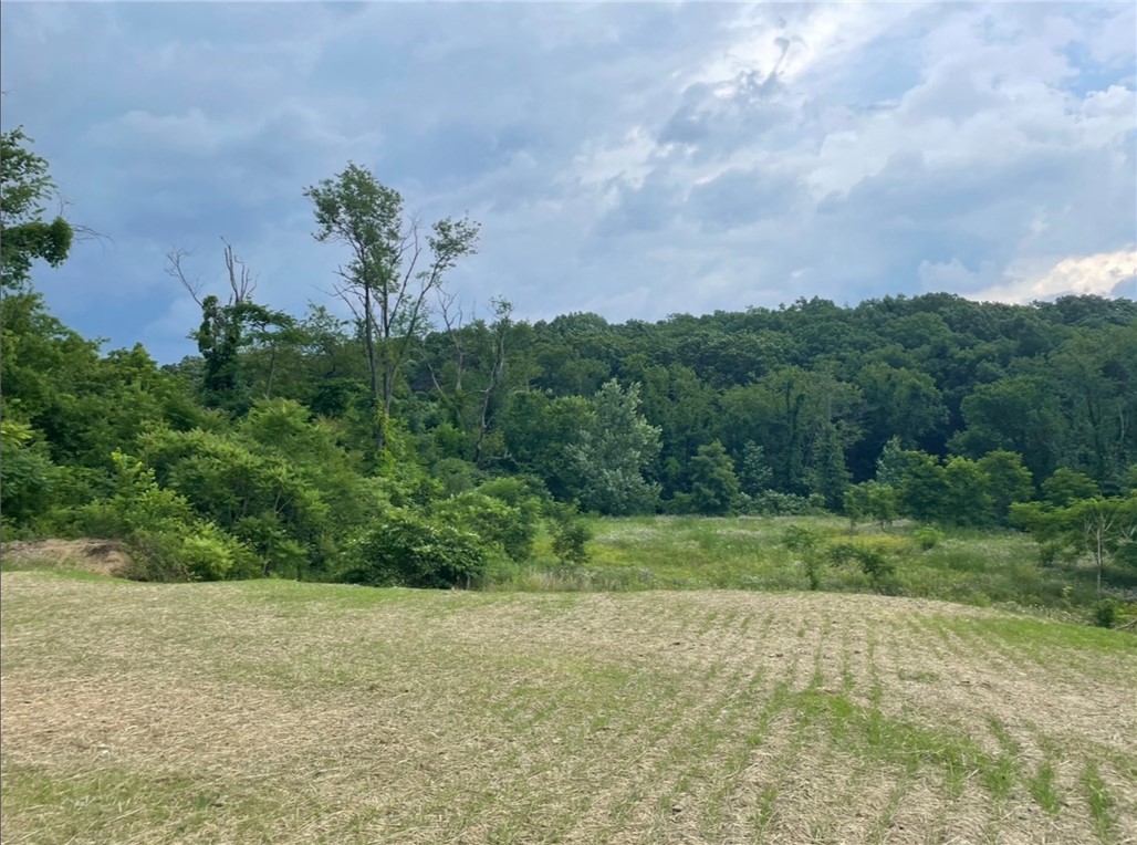 Farm in Center Twp 3