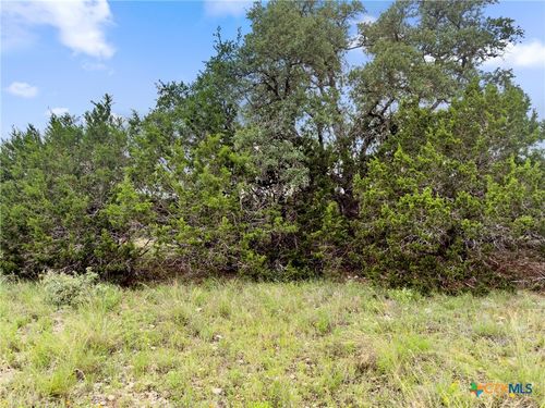 141 Vista View Pl, Spring Branch, TX, 78070-5091 | Card Image