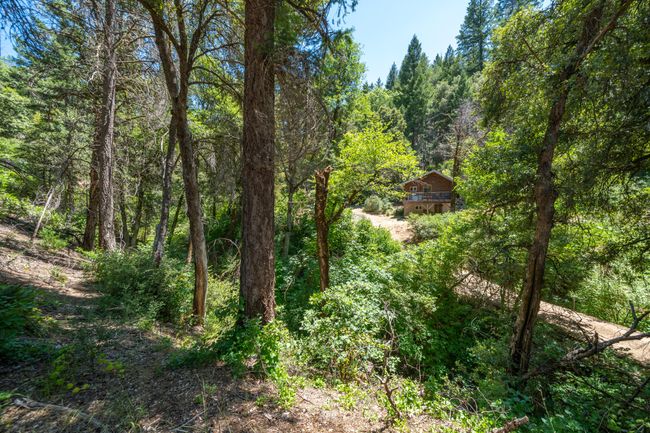 0000 E Fork Rd, Home with 0 bedrooms, 0 bathrooms and null parking in French Gulch CA | Image 14