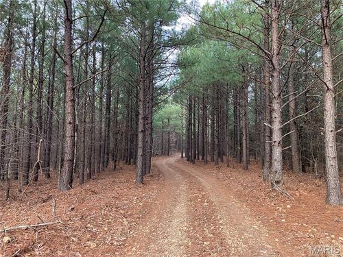 219 Madison Cr 410, Fredericktown, MO, 63645 | Card Image