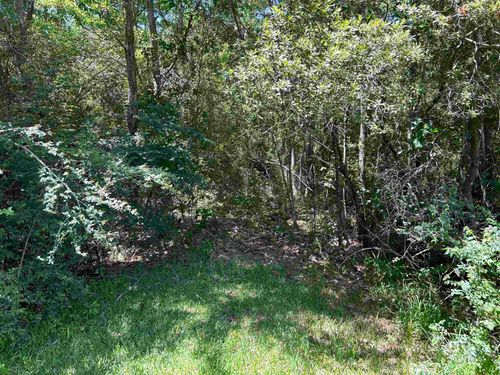 0 Bayou Pines Dr, Coden, AL, 36523 | Card Image