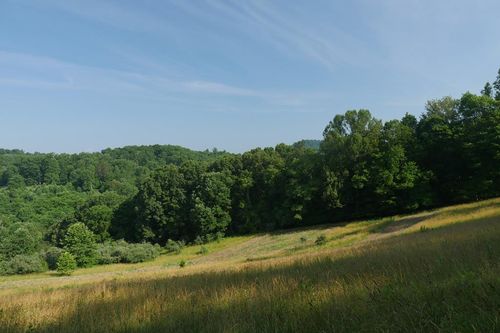 TBD Veterans Memorial Hwy, Gate City, VA, 24251 | Card Image