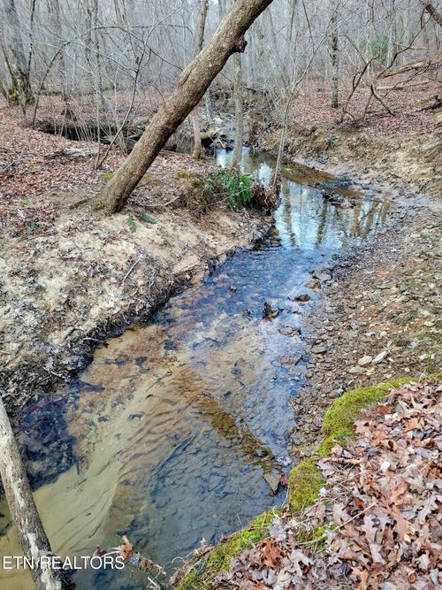 14 Creek Pl, Monterey, TN, 38574-7133 | Card Image