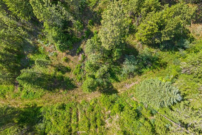 5491 Sailor Rd, Home with 0 bedrooms, 0 bathrooms and null parking in Deer Park WA | Image 6