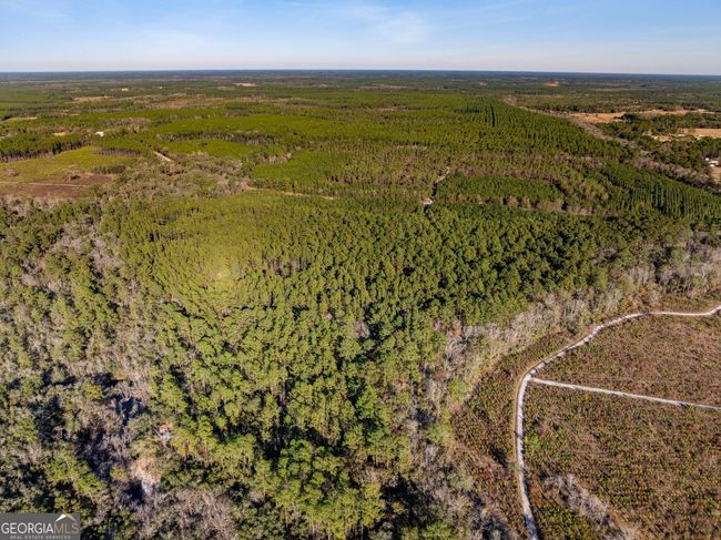 0 Highway 185, Home with 0 bedrooms, 0 bathrooms and null parking in Saint George GA | Image 11