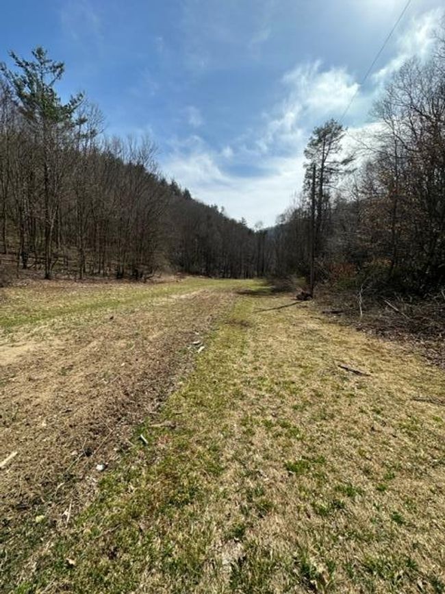 267 Sturgills Rd, House other with 3 bedrooms, 3 bathrooms and null parking in Mouth of Wilson VA | Image 78