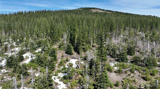 0 xxxx Spirit Lake Hwy, Home with 0 bedrooms, 0 bathrooms and null parking in Stevenson WA | Image 19
