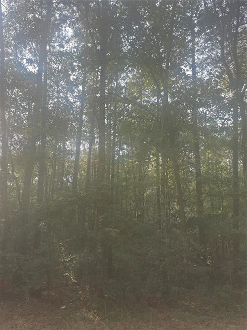 0 River Creek Rd, Cleveland, TX, 77328 | Card Image