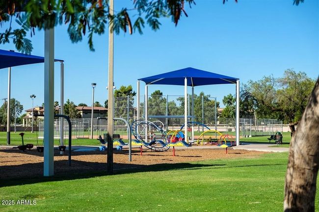 Walk to the Park! | Image 37