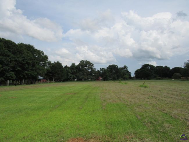 637 Grovania Rd, House other with 4 bedrooms, 2 bathrooms and null parking in Hawkinsville GA | Image 19