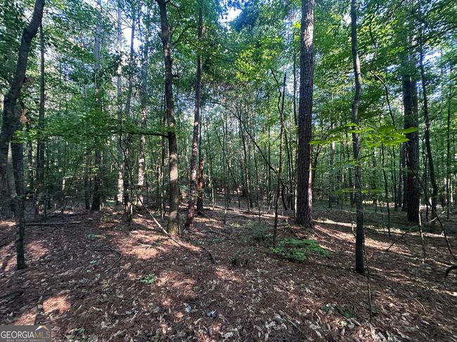 0 Berkeley Rd, Home with 0 bedrooms, 0 bathrooms and null parking in Carlton GA | Image 12