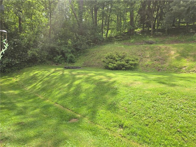 Back yard | Image 36