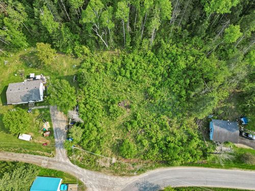 219 Doe Lake Rd, Katrine, ON, P0A1L0 | Card Image