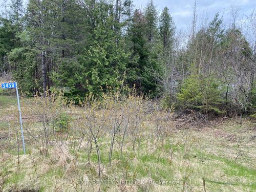 3458 Old Hastings Rd, Coe Hill, ON, K0L1P0 | Card Image