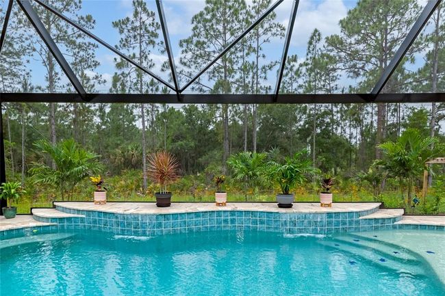 The pool cage has "clear view" screening for unobstructed views of the yard and gardens. Screening is 20-20 tight-weave no-see-ums proof | Image 31