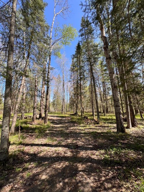 TBD Necktie Loop, Lake George, MN, 56458 | Card Image