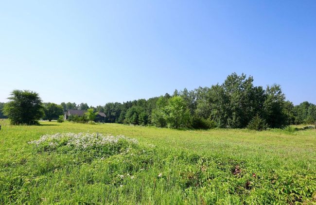 IMG_3038.jpeg | Image 12