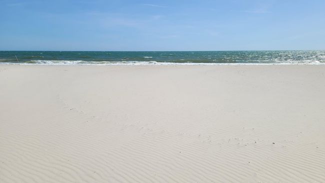 20250429_145554 | Image 4
