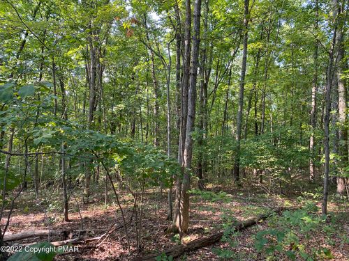 Lot 312 Pine Creek Drive, East Stroudsburg, PA, 18302 | Card Image