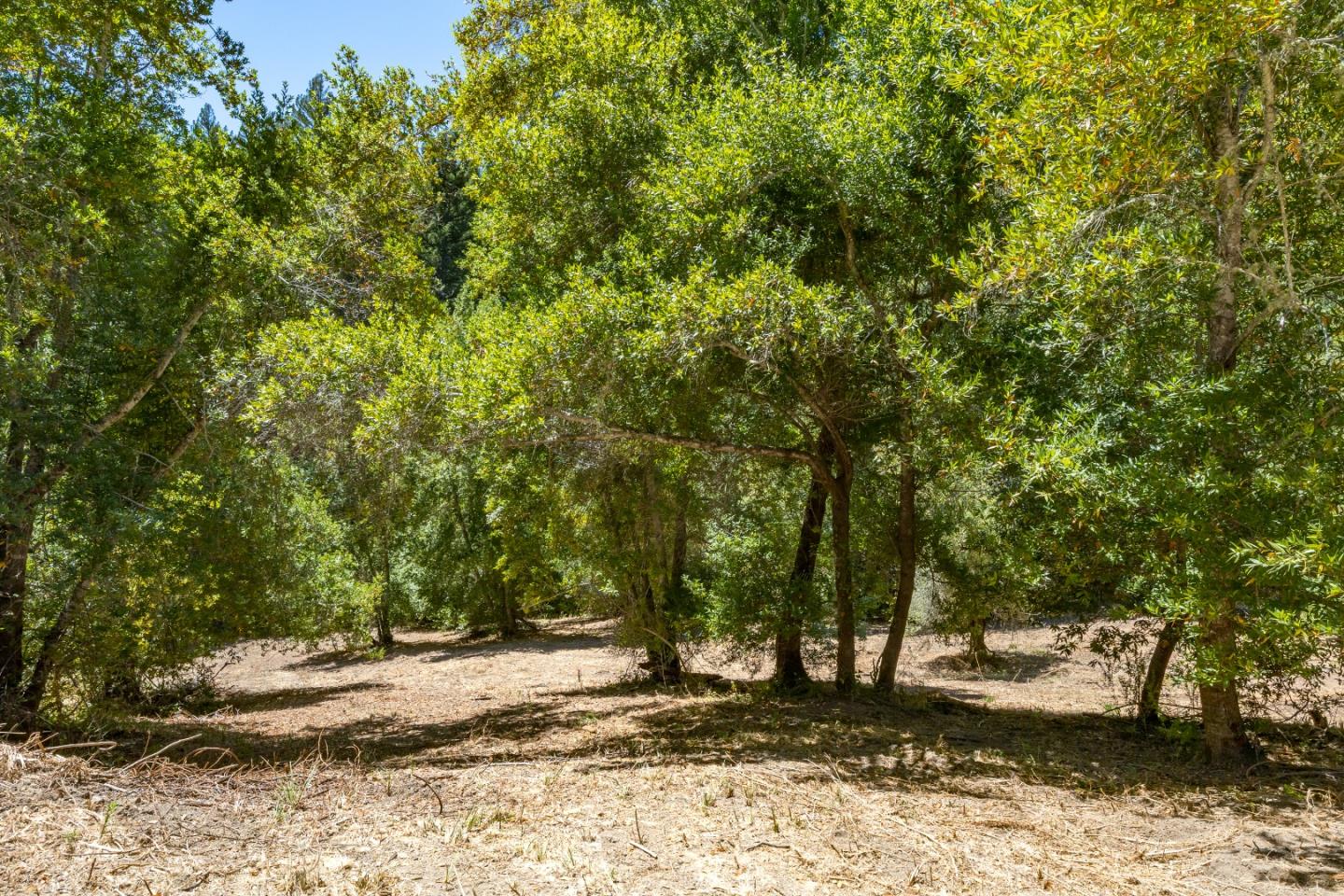 Land in Los Gatos 3