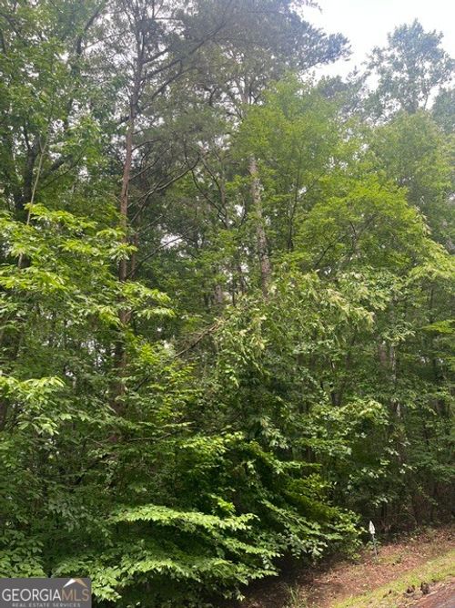 111 Falls Dr, Westminster, SC, 29693-6419 | Card Image