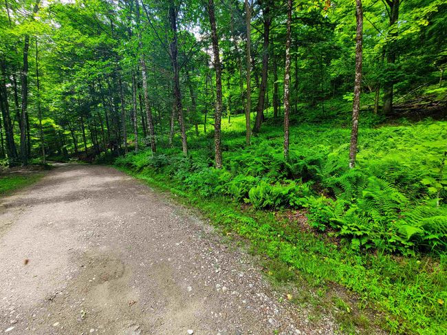 1730 Sinclair Rd, Home with 0 bedrooms, 0 bathrooms and null parking in Johnson VT | Image 40