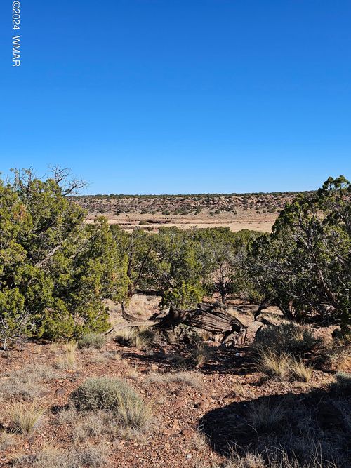 45 N 8579, Concho, AZ, 85924 | Card Image
